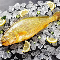 抢鲜队 精选大黄花鱼*1条（约一斤）