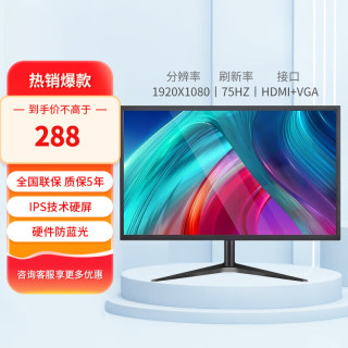 LGOT LG OT显示器24英寸22寸24寸IPS屏高清4K165HZ直面曲面27寸台式电脑监控器电竞显示器 24寸1K+直面+双接口