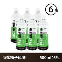 燃力士 電解質水 500ml*6瓶