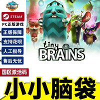 Steam 小小脑袋 Tiny Brains 国区激活码CDKey PC中文正版游戏
