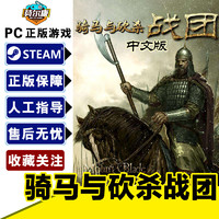 STEAM 骑马与砍杀战团 国区激活码 Mount & Blade: Warband 正版PC游戏中文