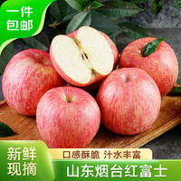 京鲜生 山东烟台红富士苹果 净重5斤 果径75mm+ 新鲜水果 源头直发
