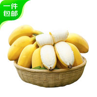 京鲜生 苹果蕉 净重1.5斤 约7-9根 新鲜水果 源头直发
