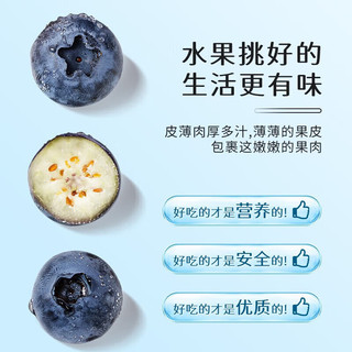 柚琳新鲜蓝莓酸甜特级现摘现发果味浓郁水果蓝莓 精选蓝莓 心选蓝莓 125g*6 盒 单果12-14MM