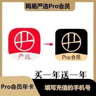 pro会员买一年送一年