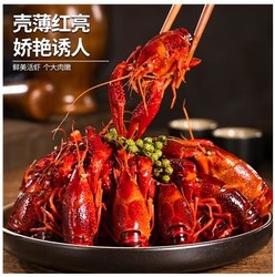 一众香 麻辣小龙虾 4-6钱大虾 1000g/盒