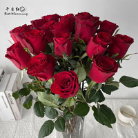 京東鮮花 高原紅玫瑰10枝鮮花情人節520生日禮物送女朋友