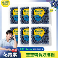 DRISCOLL'S/怡颗莓 怡颗莓云南蓝莓6盒小果新鲜采摘鲜果宝宝孕妇辅食水果