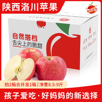 自然搭档 陕西洛川苹果红富士 脆甜多汁 新鲜水果 5斤装（净重4.5-5斤 单果170g+）