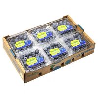 黄花地 新鲜 蓝莓 125g*4盒 单果12-14mm