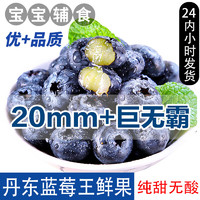 斯可沁 丹东纯甜蓝莓王20mm+ 2盒 每盒约125g新鲜水果宝宝辅食源头直发