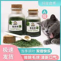 洞屋食界 猫薄荷粉末草叶清洁口腔用清新助消化食品级强力猫咪喝水口臭茶包