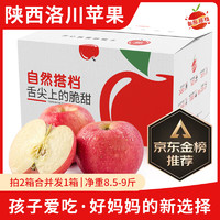 自然搭档 陕西洛川苹果 新鲜水果礼盒 5斤装（净重4.5-5斤 单果170g+）