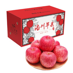 果嘉農 陜西洛川蘋果水果新鮮脆甜紅富士蘋果 帶箱10斤大果80-90mm