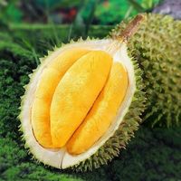 曲迪泰国新鲜长柄榴莲带壳整果托曼尼榴莲水果 泰国长柄托曼尼 单果2-3斤