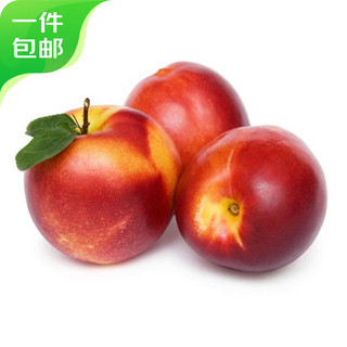 山东红油桃净重4.5斤 单果70g+ 新鲜水果 源头直发