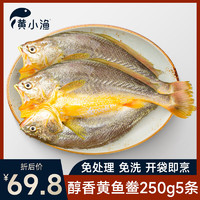 黄小渔 醉香黄鱼鲞250g*5条（净重1.25kg）大黄花鱼生鲜水产鱼类源头直发