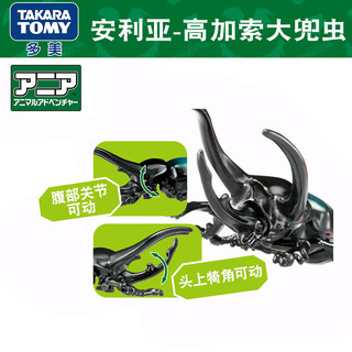 TAKARA TOMYTOMY多美卡安利亚 AS 高加索大兜虫 甲虫 动物昆虫 益智模型玩具