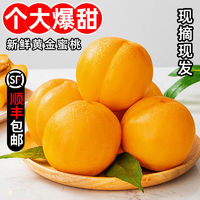 糜鸿黄金油桃 （顺丰包邮）新鲜水果应季油桃孕妇当季时令水果大果 优选黄金油桃 4.5大果