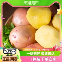 88VIP：云南农家自种沙糯红皮黄心土豆新鲜现挖迷你洋芋当季蔬菜马铃薯