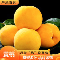 冰果乐黄金蜜桃当季新鲜水果黄桃毛桃3斤礼盒装（8枚）