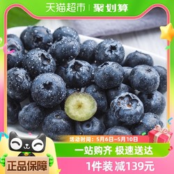 水果之乡 喵满分云南蓝莓新鲜水果包邮10盒装 125g/盒