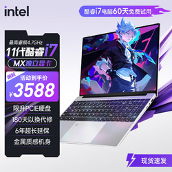 LGNC X1 笔记本电脑 2024款（i7-1165G7 MX450 60Hz 16GB+1TB）