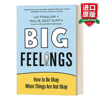 Big Feelings 英文原版 重大感知 当事情不顺利的时候如何做好 Liz Fosslien 精装 英文版 英语原版书籍