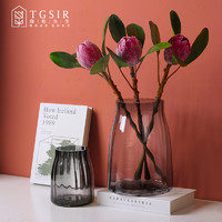 TGSIR 藤格先生 创意现代简约透明玻璃花瓶北欧客厅电视柜水养鲜花植物插花器摆件