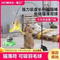 逗猫棒长杆猫薄荷旋转球零食玩具磨牙棒自嗨解闷猫咪用品仿真消耗