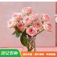 母亲节好礼、京东百亿补贴：花点时间 玫瑰10枝-颜色随机