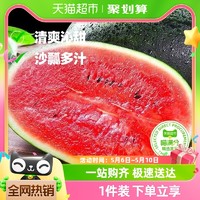 88VIP：天猫超市 黑美人西瓜4-8斤/个当季水果现摘新鲜红壤西瓜