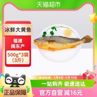 88VIP：渔传播 福建闽东冰鲜大黄鱼深海鱼500g*3袋（3斤）海鲜