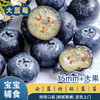 伊鲜拾光 云南蓝莓 纯甜口感 新鲜水果孕妇宝宝可食用15mm+4盒装 源头直发