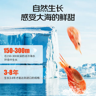 渔游记 丹麦熟冻黑头北极甜虾 熟冻海藻头北极虾净重1.5kg90-120只/kg