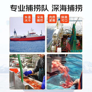 渔游记 丹麦熟冻黑头北极甜虾 熟冻海藻头北极虾净重1.5kg90-120只/kg