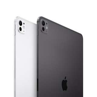 Apple 苹果 iPad Pro 2024款 M4版 13英寸 平板电脑 无线局域网机型 2TB 深空黑色 纳米纹理玻璃版