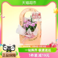 母亲节好礼、88VIP：朵屿花间 母亲节手提手提花盒康乃馨盆栽一盒