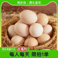土家享 农家散养新鲜土鸡蛋 20枚
