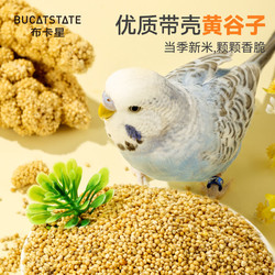 布卡星 新黃谷子鳥糧鸚鵡飼料中小型虎皮玄鳳帶殼小米食物糧食大罐