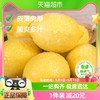 88VIP：喵满分四川安岳黄柠檬5斤装新鲜水果整箱包邮