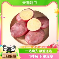 88VIP：云南高山现挖红皮黄心土豆3斤整箱农家老品种新鲜粉糯马铃薯洋芋