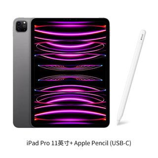 Apple 苹果 ipad Pro11英寸平板电脑+USB-C手写笔