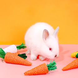 威畢 寵物兔子解悶玩具胡蘿卜龍貓荷蘭豬兔兔磨牙專用訓練耐咬啃咬用品
