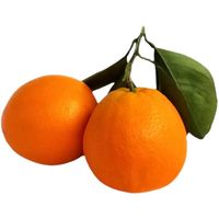 橙央 伦晚脐橙 10斤装 果径75mm+