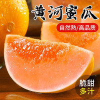 果益寿 当季水果 黄河蜜瓜 9斤装3-5个