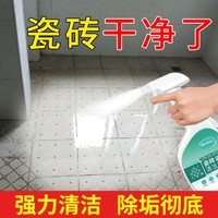 DiLi 狄力 2瓶瓷砖清洗剂卫生间强力去污厕所地砖地板除垢家用浴室清洁神器
