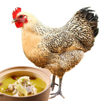 庆方堂 农家散养老母鸡 1.2kg 散养500天