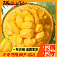 南业果（NANYEGUO）海南三亚菠萝蜜现摘新鲜水果当季黄肉干苞一整个 20-25斤