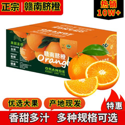 集南鲜 赣南脐橙 江西橙子新鲜现摘水果脐橙时令生鲜水果甜橙 水果礼盒 彩10斤（200-300g）荐